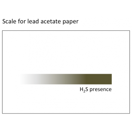 ECHELLE INTERPRETATION