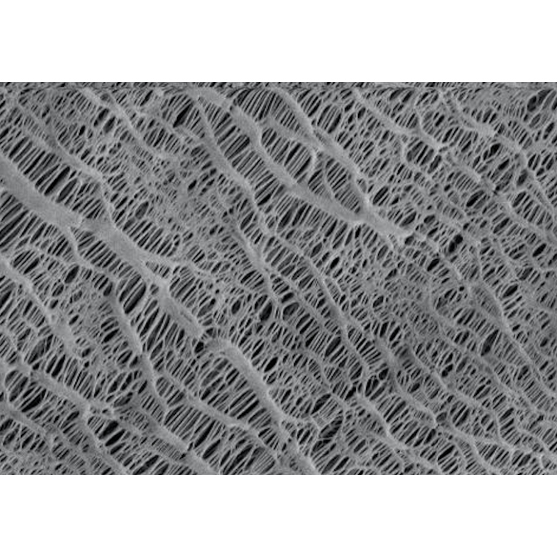 [MF-PP] membrane en polypropylène
