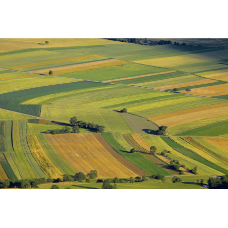 [FS93] Papier filtre sans phosphate - moyen/rapide