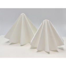 Filtres techniques crêpés 160g/m2 - 38-75μm (//whatman 520b)