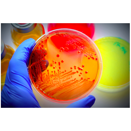 [PA] Papiers pour essais antibiotiques