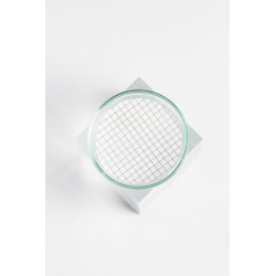 MF-PTFE