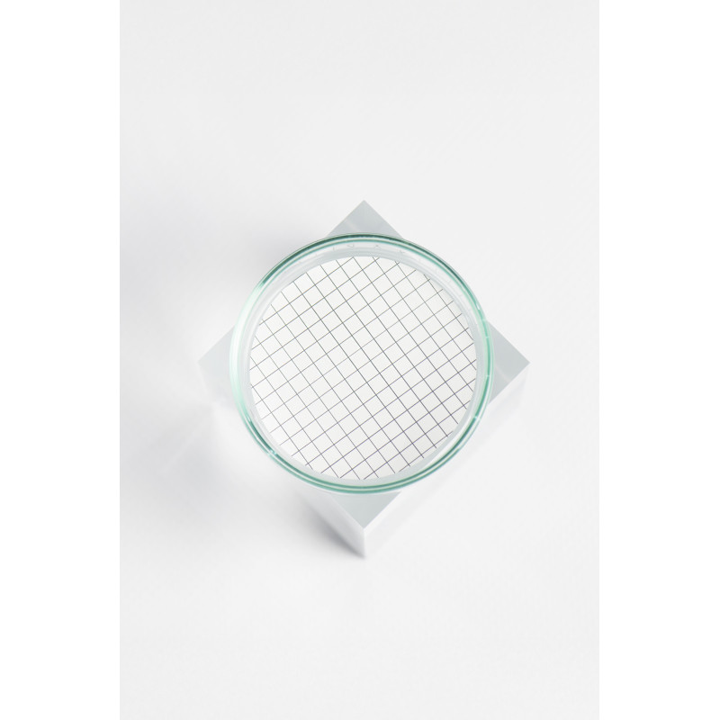 MF-PTFE
